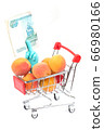 Shopping cart of capricots 66980166