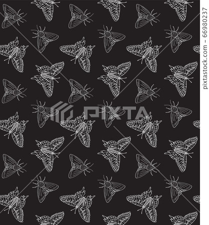 Vector seamless pattern of butterfly and moth - Stock Illustration ...