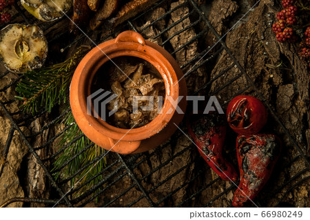 dish on a tree bark dish on a tree bark 66980249