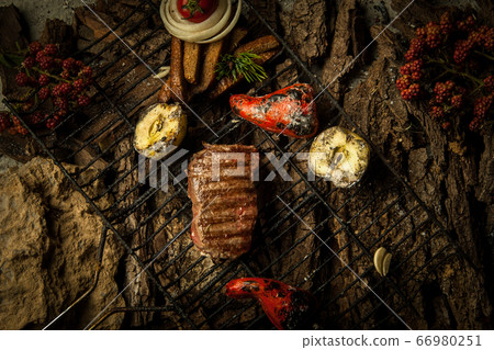 dish on a tree bark dish on a tree bark 66980251