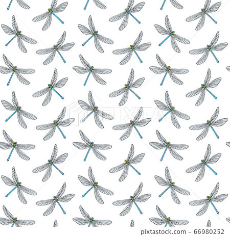 Vector seamless pattern of color sketch dragonfly Vector seamless pattern of color sketch dragonfly 66980252