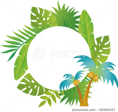 夏季植物棕櫚樹框架裝飾框架副本空間 66980481