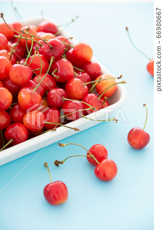 Cherry Cherry 66980667