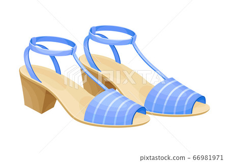 Heeled Open Toe Shoes or Peep-toes with Latchets Vector Illustration Heeled Open Toe Shoes or Peep-toes with Latchets Vector Illustration 66981971