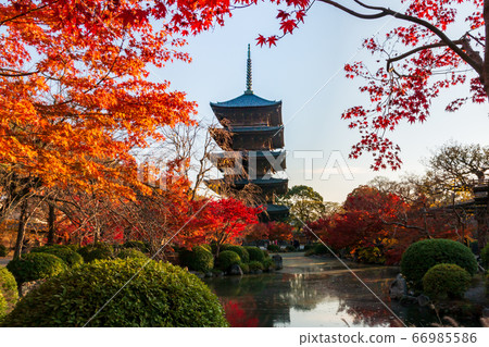 Autumnal scenery of Toji Temple 66985586