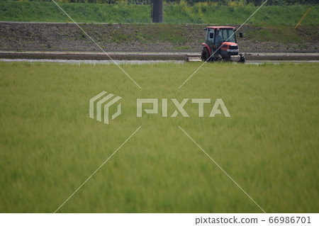 Tractor at work Tractor at work 66986701
