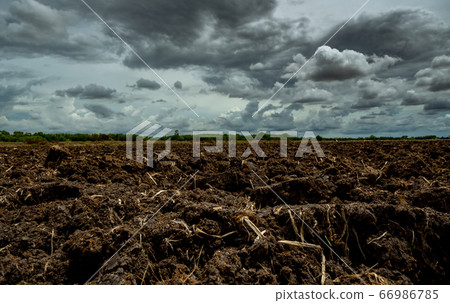 Agriculture plowed field. Black soil plowed field 66986785
