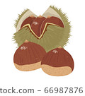 Cute chestnut 66987876