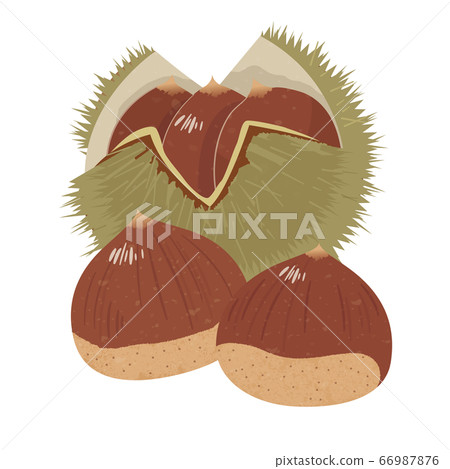 Cute chestnut 66987876