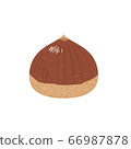 Cute chestnut 66987878