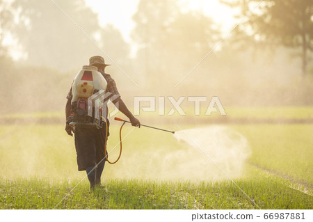 Asian farmer with machine and spraying chemical or Asian farmer with machine and spraying chemical or 66987881