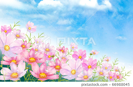 藍藍的天空和波斯菊水彩 藍藍的天空和波斯菊水彩 66988045