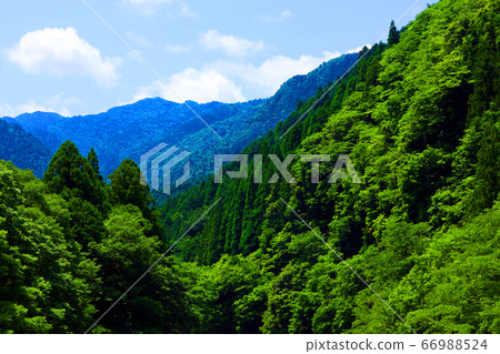 Higashi-Omi City, Shiga Prefecture, Landscape of Eigenji Temple, Mountains and Summer Sky [June] 66988524