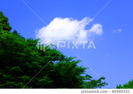 Higashi-Omi City, Shiga Prefecture, Landscape of Eigenji Temple, Mountains and Summer Sky [June] 66988581