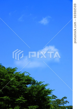 Higashi-Omi City, Shiga Prefecture, Landscape of Eigenji Temple, Mountains and Summer Sky [June] 66988589