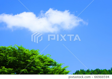 Higashi-Omi City, Shiga Prefecture, Landscape of Eigenji Temple, Mountains and Summer Sky [June] 66988594