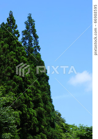Higashi-Omi City, Shiga Prefecture, Landscape of Eigenji Temple, Mountains and Summer Sky [June] 66988595