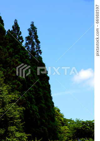 Higashi-Omi City, Shiga Prefecture, Landscape of Eigenji Temple, Mountains and Summer Sky [June] 66988597
