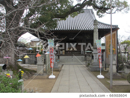 Shikoku 88 places 83 Ichinomiya Temple, main hall Yoko 02 66988604