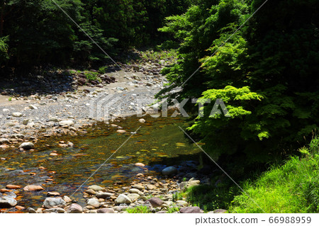 Higashi-Omi City, Shiga Prefecture, Eigen-ji scenery, nature, greenery and the Kanzaki River [June] 66988959