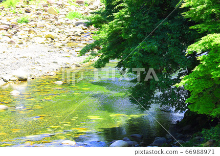 Higashi-Omi City, Shiga Prefecture, Eigen-ji scenery, nature, greenery and the Kanzaki River [June] 66988971