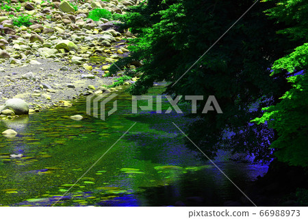 滋賀縣東近江市，本源寺風景，自然，綠色和神崎河[6月] 66988973