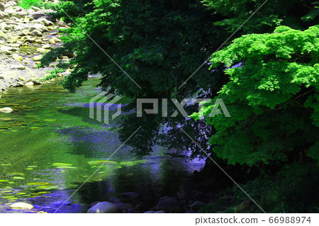 滋賀縣東近江市，本源寺風景，自然，綠色和神崎河[6月] 66988974