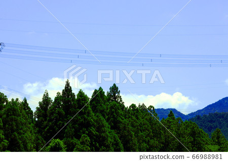 滋賀縣東近江市，本源寺風景，群山和夏日的天空[6月] 66988981