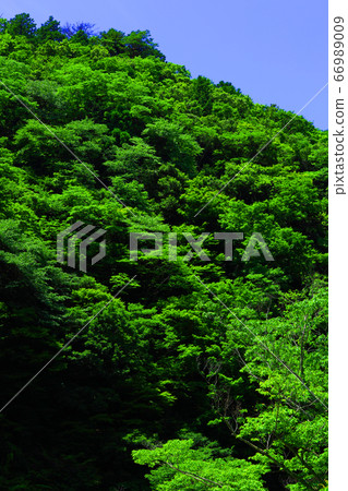 Higashi-Omi City, Shiga Prefecture, Landscape of Eigenji Temple, Mountains and Summer Sky [June] 66989009