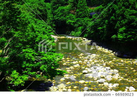 Higashi-Omi City, Shiga Prefecture, Eigen-ji scenery, nature, greenery and the Kanzaki River [June] 66989023