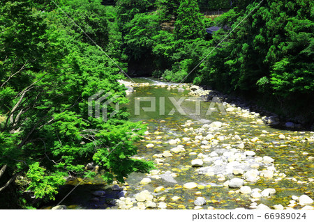 滋賀縣東近江市，本源寺風景，自然，綠色和神崎河[6月] 66989024