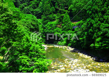 滋賀縣東近江市，本源寺風景，自然，綠色和神崎河[6月] 66989025