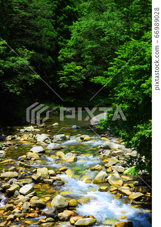 Higashi-Omi City, Shiga Prefecture, Eigen-ji scenery, nature, greenery and the Kanzaki River [June] 66989028