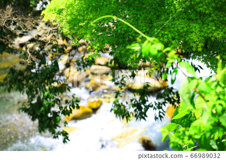 Higashi-Omi City, Shiga Prefecture, Eigen-ji scenery, nature, greenery and the Kanzaki River [June] 66989032