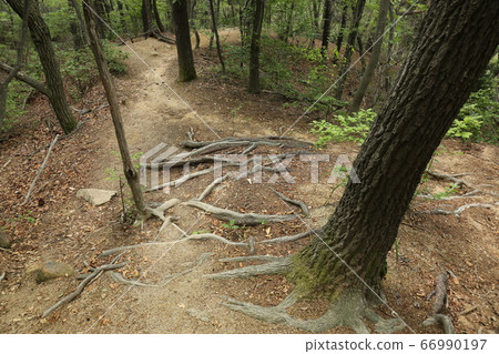 北漢山國家公園大成門 北漢山國家公園大成門 66990197