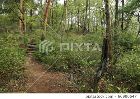 北漢山、國立公園、寶賢峰 北漢山、國立公園、寶賢峰 66990647