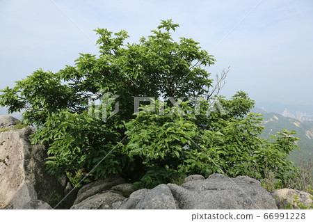北漢山、國立公園、寶賢峰 北漢山、國立公園、寶賢峰 66991228