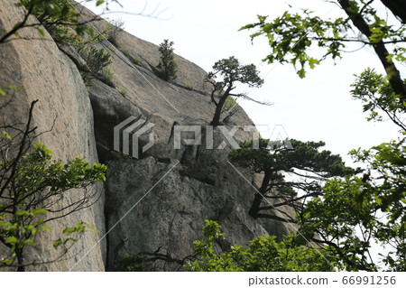 北漢山、國立公園、寶賢峰 北漢山、國立公園、寶賢峰 66991256