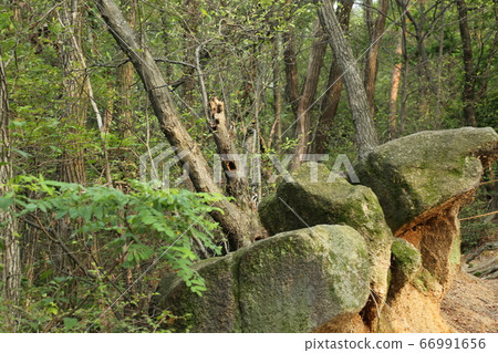 Bukhansan. National Park. Valley Bukhansan. National Park. Valley 66991656