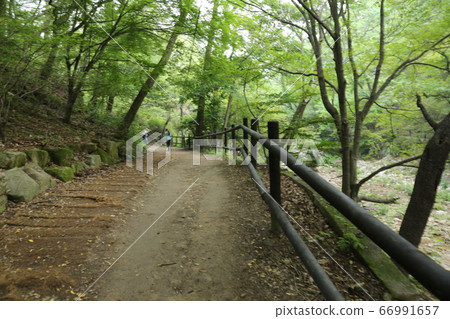 Bukhansan. National Park. Valley Bukhansan. National Park. Valley 66991657