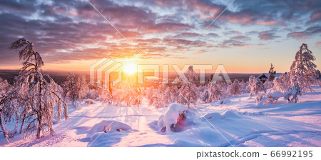 Winter wonderland in Scandinavia at sunset Winter wonderland in Scandinavia at sunset 66992195