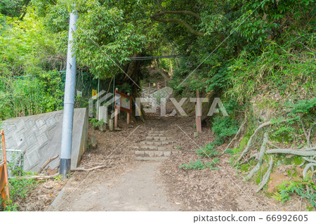上野高速公路步道(瑪雅山) 上野高速公路步道(瑪雅山) 66992605