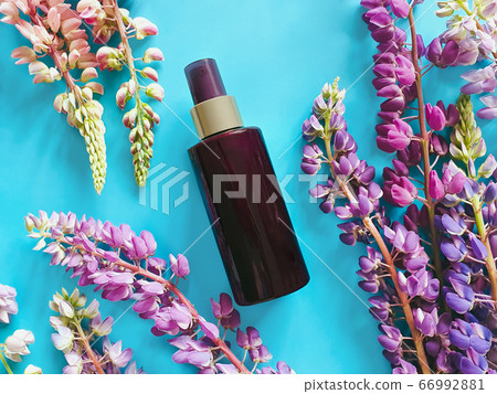 Top view of dark brown spray bottle mock-up and multicolor lupins with long stem on a turquoise blue background. Blank label bottle for branding. Natural organic spa cosmetics concept. Flat lay. Top view of dark brown spray bottle mock-up and multicolor lupins with long stem on a turquoise blue background. Blank label bottle for branding. Natural organic spa cosmetics concept. Flat lay. 66992881