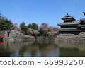 松本城秋 66993250