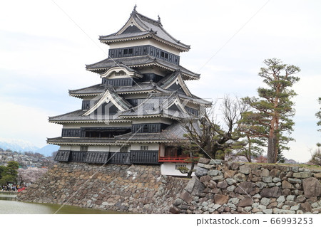 松本城 66993253