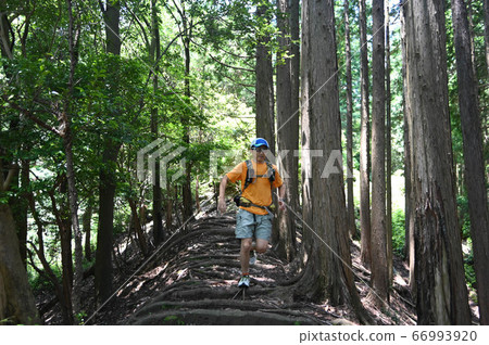 越野跑 66993920