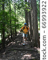 越野跑 66993922