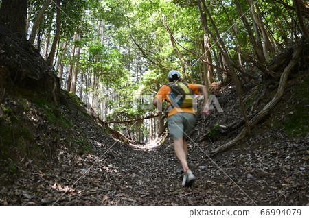 Trail running 66994079