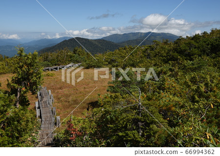 The wooded road, autumnal leaves and blue sky between Hirosawa Tashiro and Kumazawa Tashiro of Hiuchigatake, one of the 100 most famous mountains in Japan around Oze. The wooded road, autumnal leaves and blue sky between Hirosawa Tashiro and Kumazawa Tashiro of Hiuchigatake, one of the 100 most famous mountains in Japan around Oze. 66994362