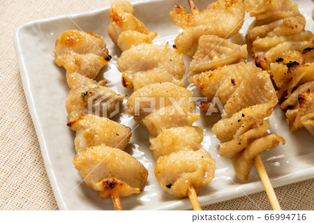 A variety of yakitori (salted) platters, with a focus on bonito skewers and chicken skin skewers. 66994716